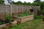 Fruit and veg growing at home is a great way to cut carbon emissions